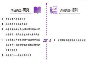 亚洲大鸡吧非评估类项目发展历程